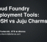 cloud-foundry-deployment-tools-bosh-vs-juju1