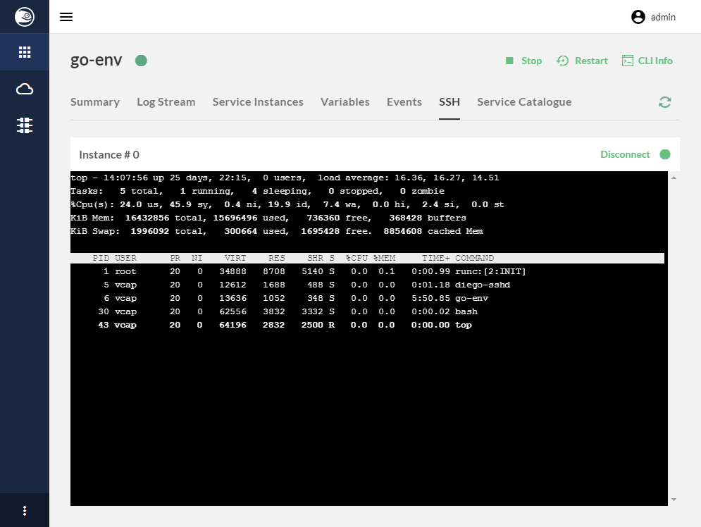 CAB call Cloud Foundry Web User Interface November 2017 SUSE stratos-ui go-env
