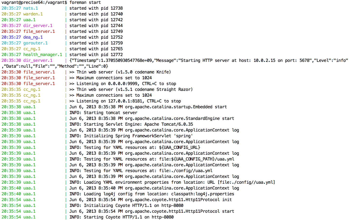 How to Install Cloud Foundry Locally by Using Vagrant