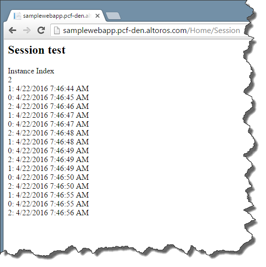 net-on-pvotal-cf-scaling-diego-session-test