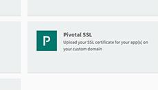 pivotal-cf-ssl-java-v3