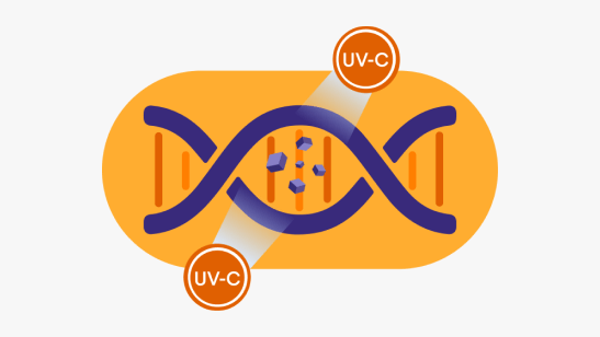 How UVC works 