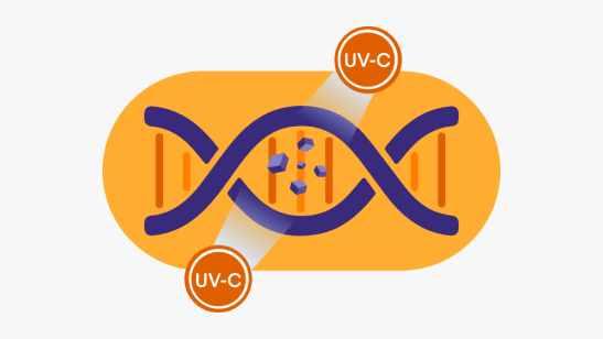 UV Disinfection Robot